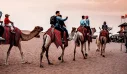 Desert Safari